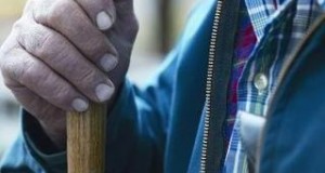 Prix agricoles  : nouvelle baisse en septembre  en France