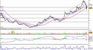 Rhodia : échec au franchissement de la MME13