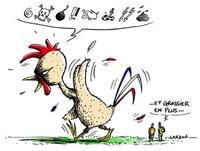 coq-fumier-francais.jpg