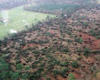 Tempête Klaus :  l’Etat  débloque   des fonds pour les communes landaises,  près de 2 ans après