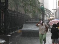 NY-BEST-WALL-STREET-deluge.JPG