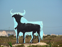 Miniature de l'image pour vache-maigre-espagnole.jpg