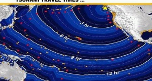Tsunami à Hawaï, terre natale de Barack Obama … à quelques jours des élections US