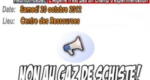 Algérie / Mali :   guerre du gaz et gaz de schiste