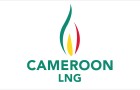 Cameroun : le projet de LNG de GDF-Suez visé par les terroristes ?