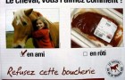 Viande de cheval : un médicament interdit pour l’alimentation humaine en vente chez Auchan-Portugal
