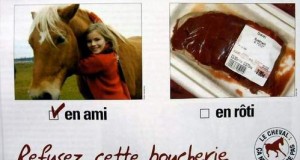 Viande de cheval : un médicament interdit pour l’alimentation humaine en vente chez Auchan-Portugal
